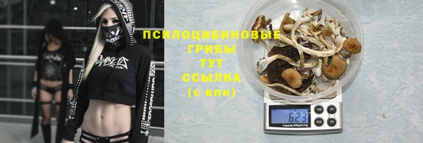 синтетический гашиш Каменск-Шахтинский