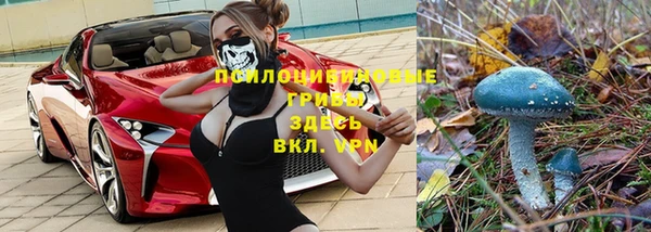 синтетический гашиш Каменск-Шахтинский