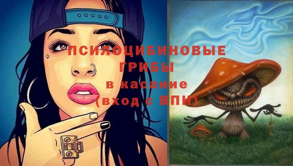 героин Инта