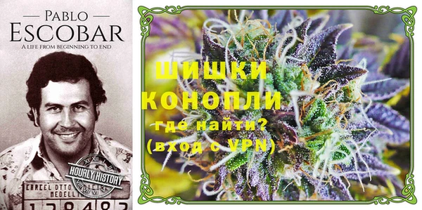 винт Каменка
