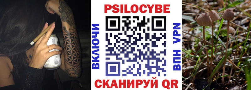Псилоцибиновые грибы мицелий  Сибай 
