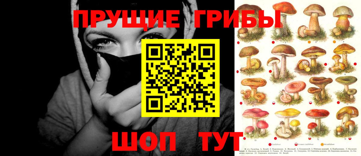 Галлюциногенные грибы ЛСД  Вход с VPN  Сибай 